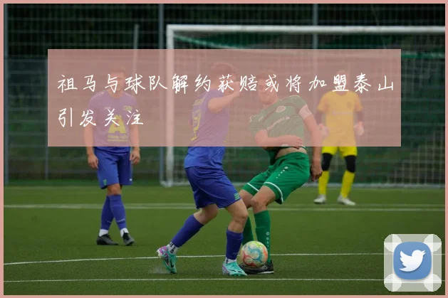 祖马与球队解约获赔或将加盟泰山引发关注